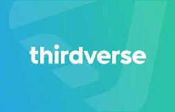thirdverse logo